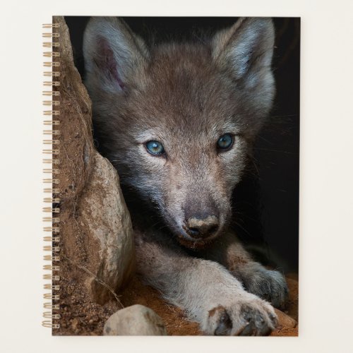 Eastern Gray Wolf  Planner