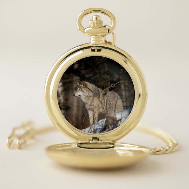 Eastern Gray Wolf  Pocket Watch (Inside)