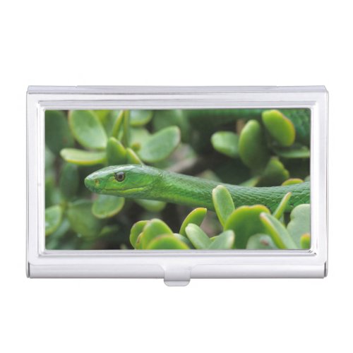 Eastern Green Mamba Dendroaspis Angusticeps Business Card Holder