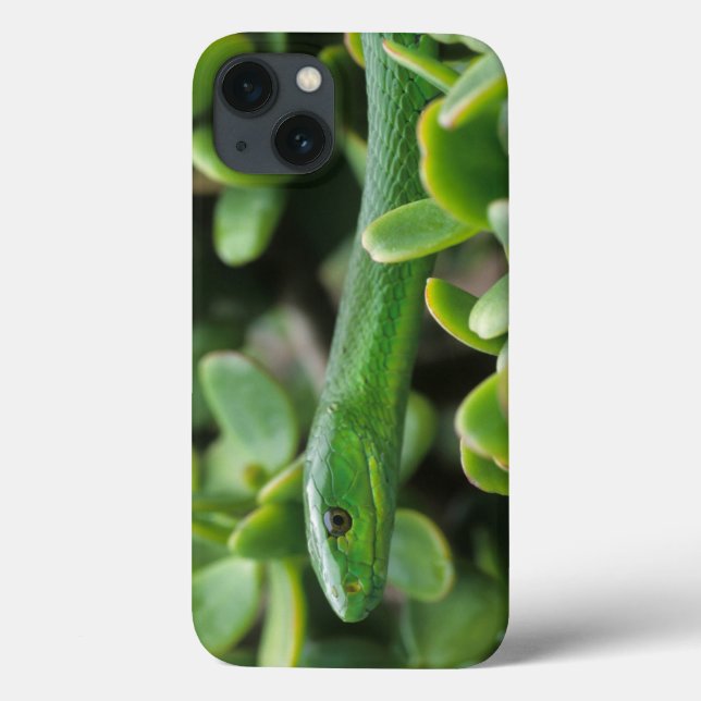 Eastern Green Mamba (Dendroaspis Angusticeps) Case-Mate iPhone Case (Back)
