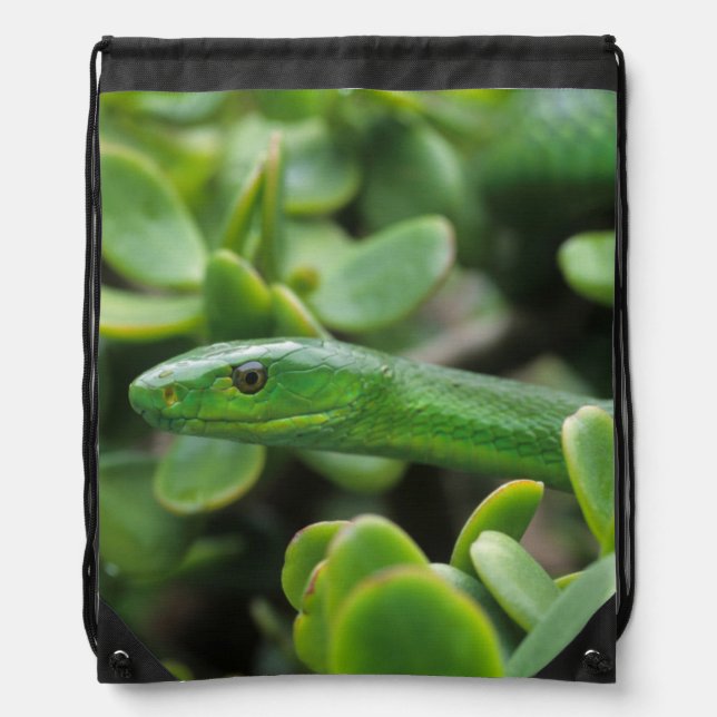 Eastern Green Mamba (Dendroaspis Angusticeps) Drawstring Bag (Front)