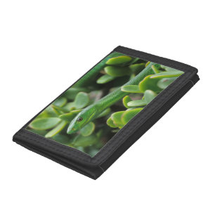 Eastern Green Mamba (Dendroaspis Angusticeps) Trifold Wallet