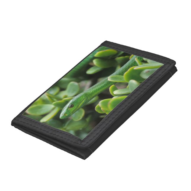 Eastern Green Mamba (Dendroaspis Angusticeps) Trifold Wallet (Bottom)