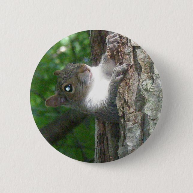 Eastern Grey Squirrel (Sciurus carolinensis) Items Button (Front)