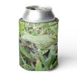 Eastern Grey Treefrog Nature Photography Can Cooler