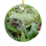 Eastern Grey Treefrog Nature Photography Ceramic Ornament