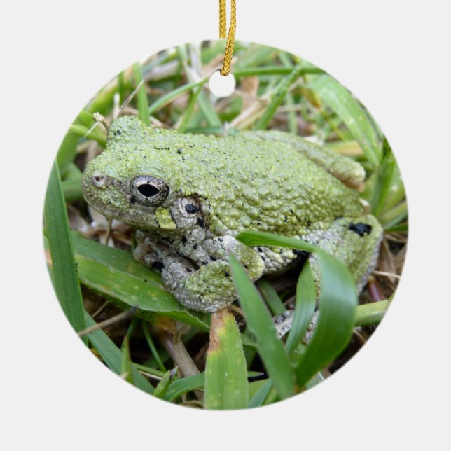 Eastern Grey Treefrog Nature Photography Ceramic Ornament (Front)