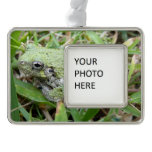 Eastern Grey Treefrog Nature Photography Christmas Ornament