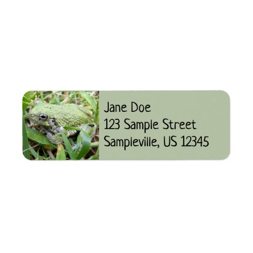 Eastern Grey Treefrog Nature Photography Label