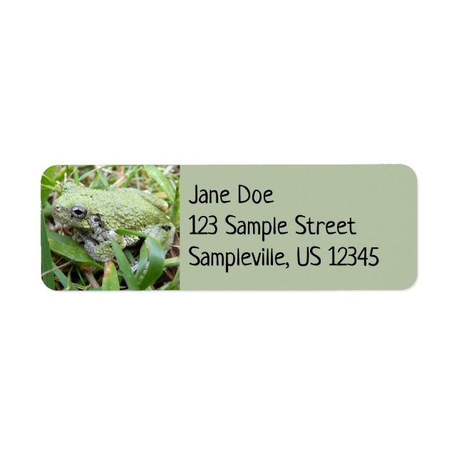 Eastern Grey Treefrog Nature Photography Label (Front)
