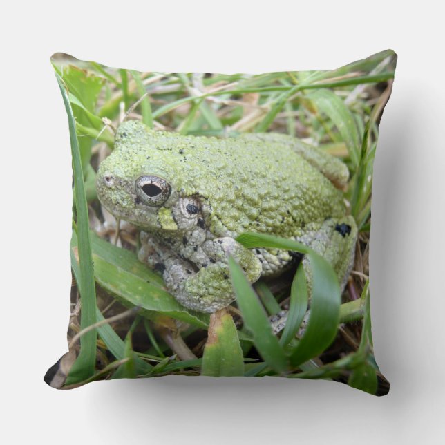 Eastern Grey Treefrog Nature Photography Throw Pillow (Front)