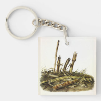 Eastern Harvest Mouse or Little Harvest Mouse Keychain