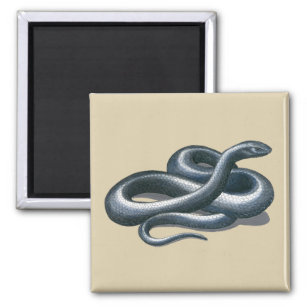 Eastern Indigo Snake Art Magnet