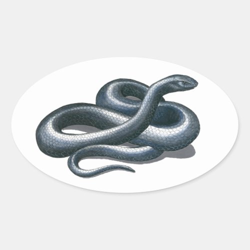 Eastern Indigo Snake Art Stickers