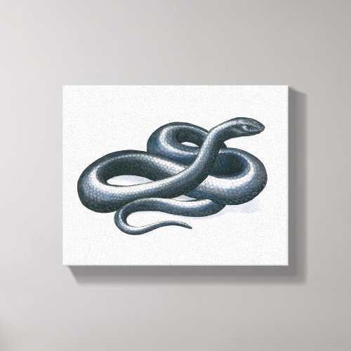 Eastern Indigo Snake Canvas Print