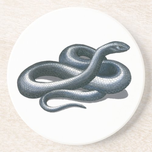 Eastern Indigo Snake Sandstone Coaster