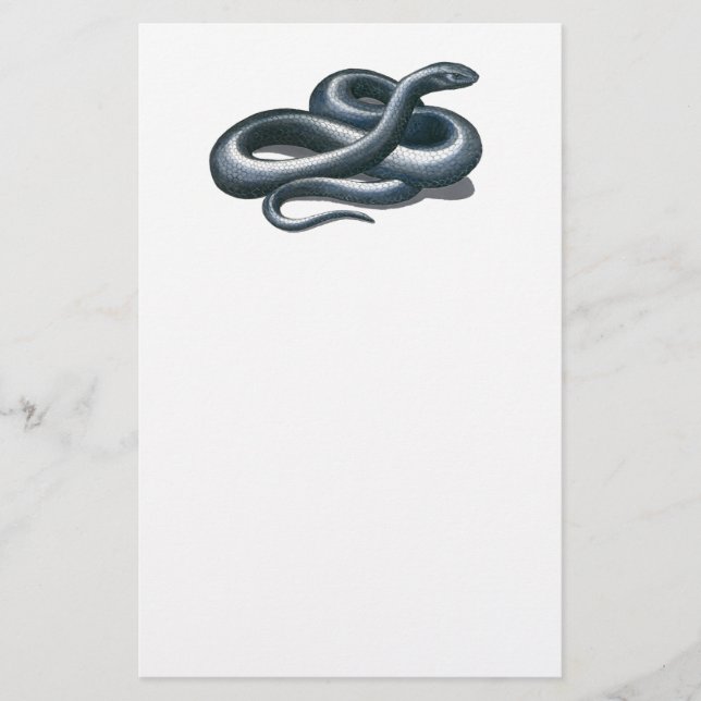 Eastern Indigo Snake Stationery (Front)