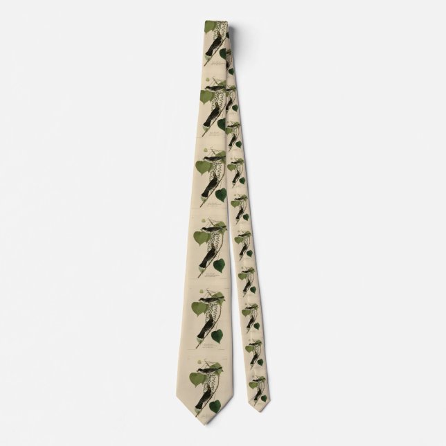 Eastern Kingbird from Audubon's Birds of America Neck Tie (Front)