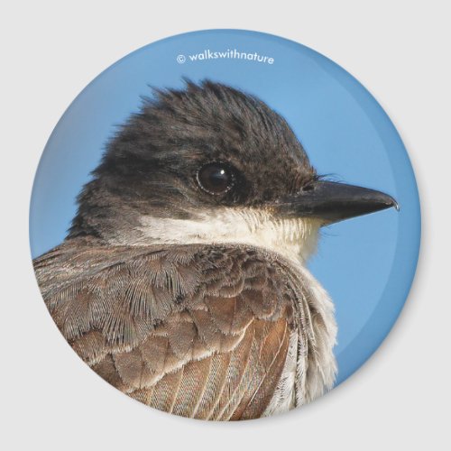 Eastern Kingbird on a Branch Magnet