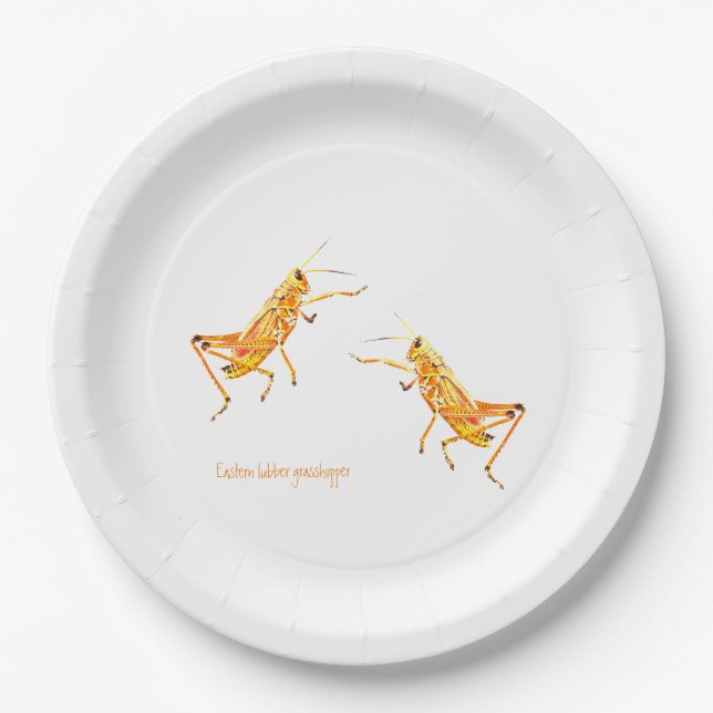 Eastern lubber grasshopper    paper plates (Front)