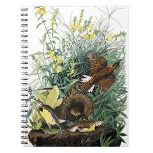 Eastern Meadowlark by Audubon, Bird Nest Flower Notebook