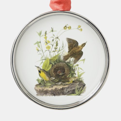 Eastern Meadowlark by Audubon Metal Ornament