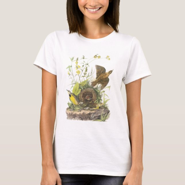Eastern Meadowlark by Audubon T-Shirt (Front)