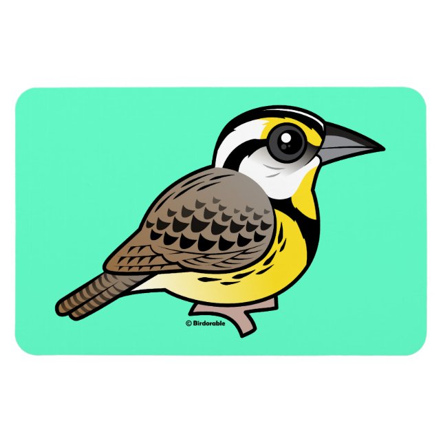 Eastern Meadowlark Magnet (Horizontal)