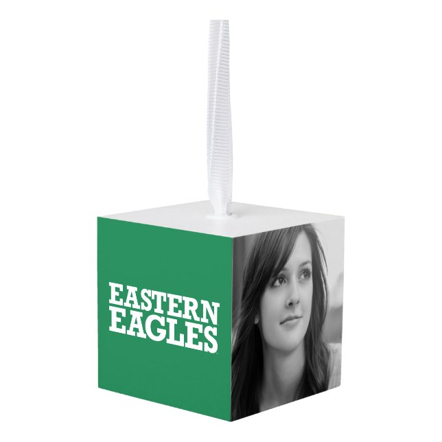 Eastern Michigan Eagles Wordmark Cube Ornament (Back Angled)