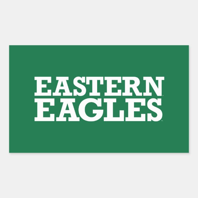 Eastern Michigan Eagles Wordmark Rectangular Sticker (Front)