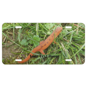 Eastern Newt License Plate