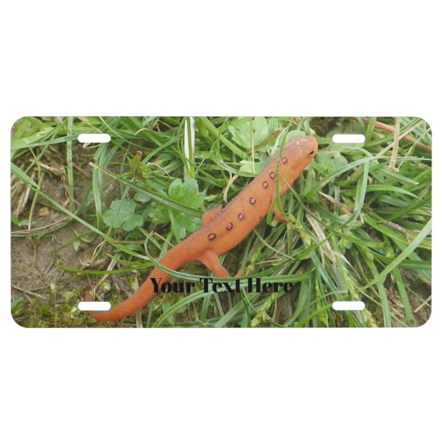 Eastern Newt License Plate (Front)