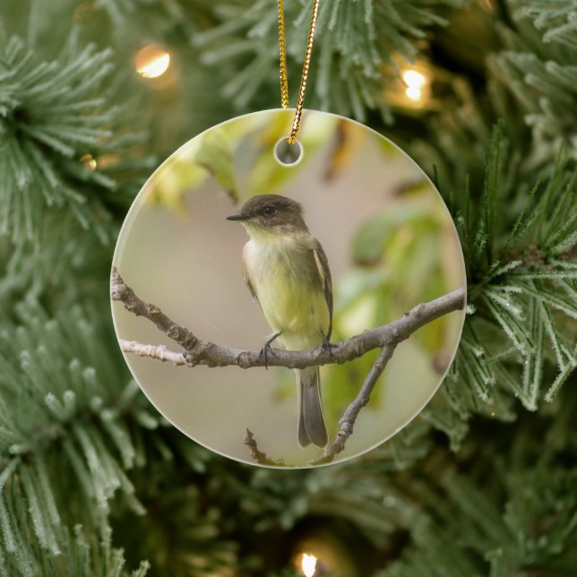 Eastern Phoebe | Ceramic Ornament (Tree)