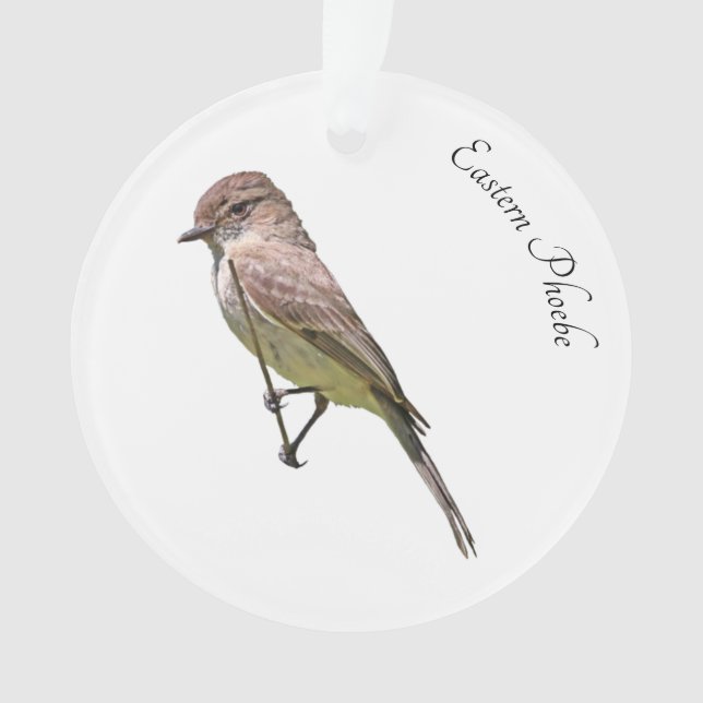 Eastern Phoebe Ornament (Front)