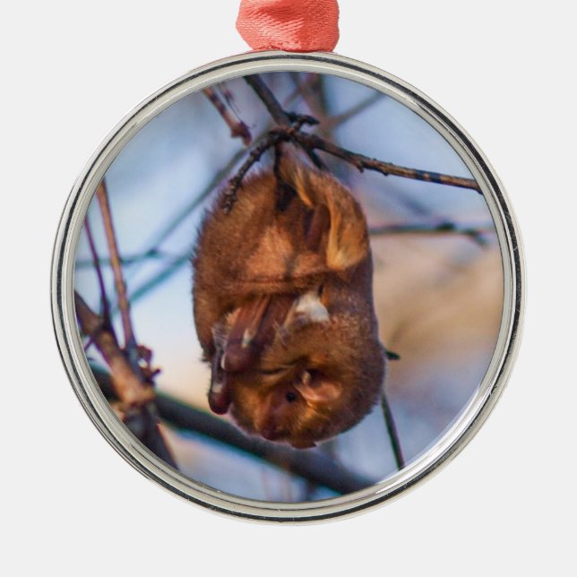 Eastern Red Bat Metal Ornament (Front)