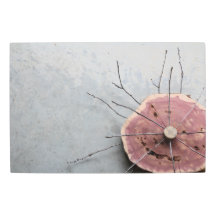 Eastern Red Cedar Assemblage Eco-art Oblique