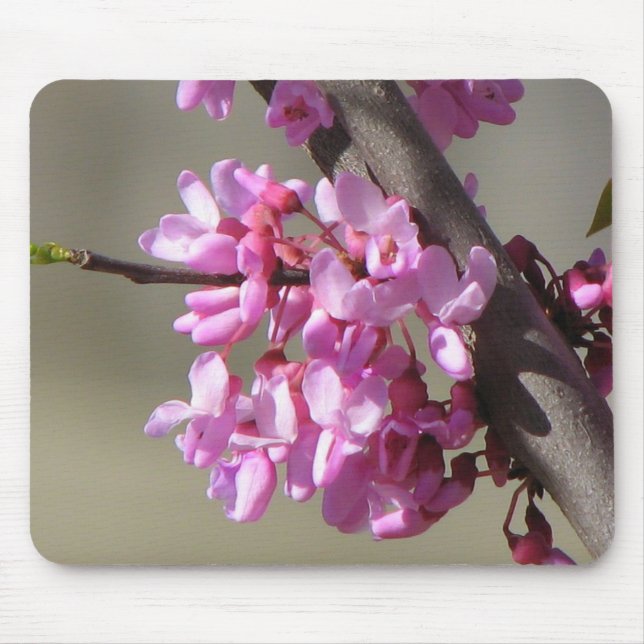 Eastern Redbud Blooms Mouse Pad (Front)