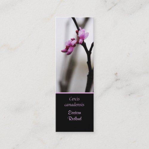 Eastern Redbud Bookmark Skinny Business Card