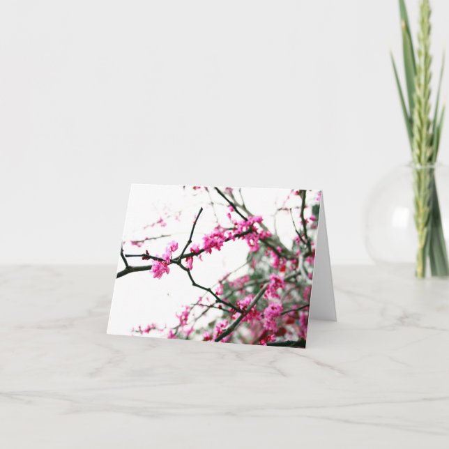 Eastern Redbud Card (Front)