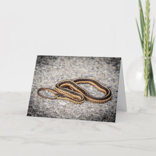 Eastern Ribbon Snake Garter Snake Holiday Card