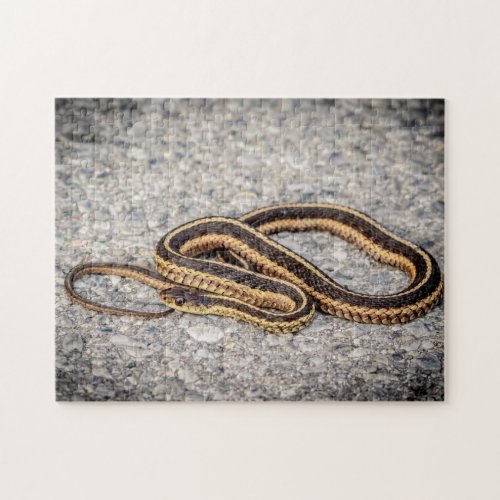 Eastern Ribbon Snake Garter Snake Jigsaw Puzzle