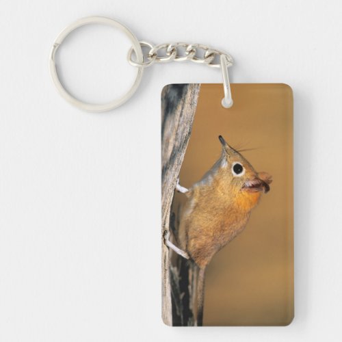 Eastern Rock Elephant Shrew on lo Keychain