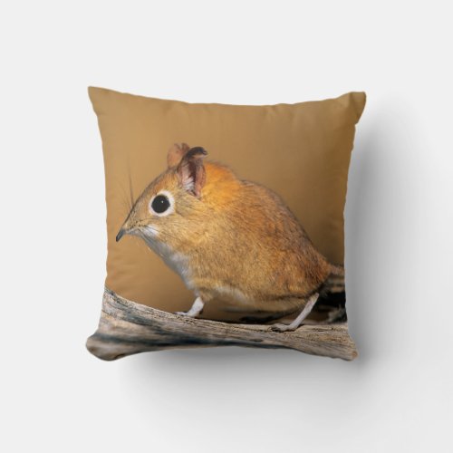 Eastern Rock Elephant Shrew on lo Throw Pillow