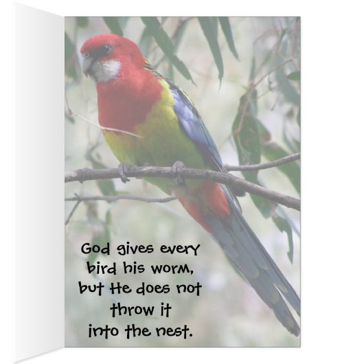 Eastern Rosella Getting the Worm... (Inside (Right))