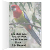 Eastern Rosella Getting the Worm... Cards (Inside (Right))