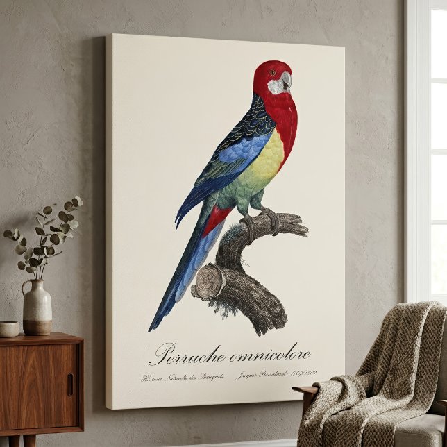 Eastern rosella or Platycercus eximius parakeet Canvas Print (Eastern rosella or Platycercus eximius parakeet. Canvas Print)