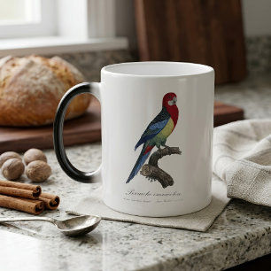 Eastern rosella or Platycercus eximius parakeet Color Morph Mug