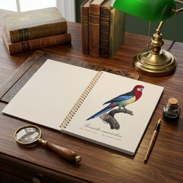 Eastern rosella or Platycercus eximius parakeet Planner (Eastern rosella or Platycercus eximius parakeet. Planner)