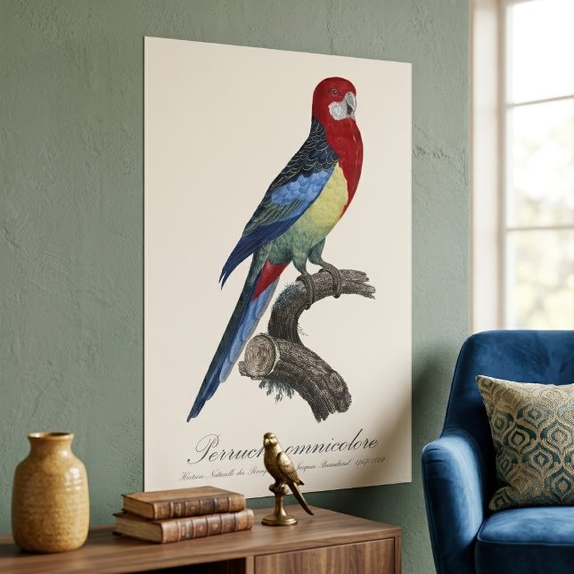 Eastern rosella or Platycercus eximius parakeet Poster (Eastern rosella or Platycercus eximius parakeet. Poster)