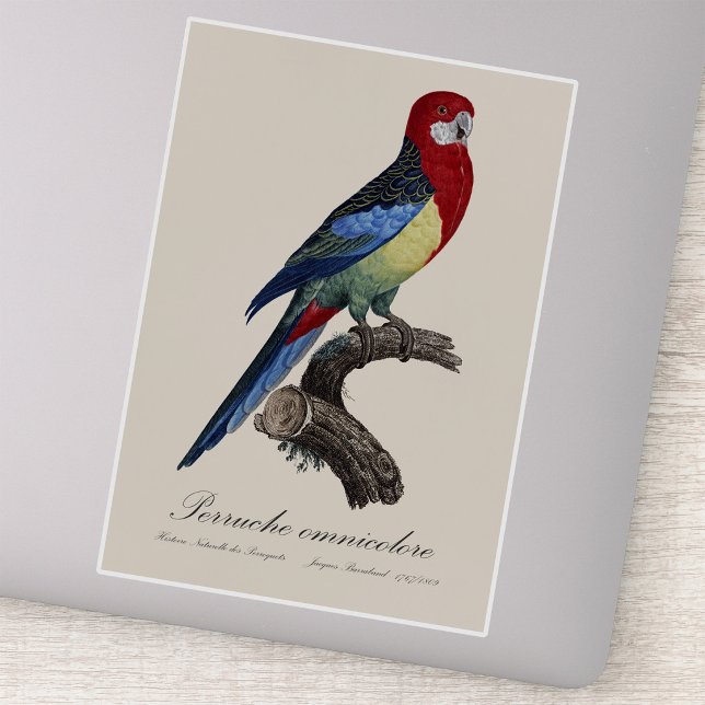 Eastern rosella or Platycercus eximius parakeet Sticker (Eastern rosella or Platycercus eximius parakeet. Sticker)